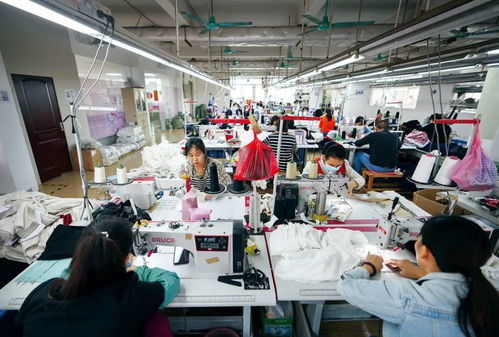 SHEIN為何能如此迅速？探索其速度背后的攝影擴印服務